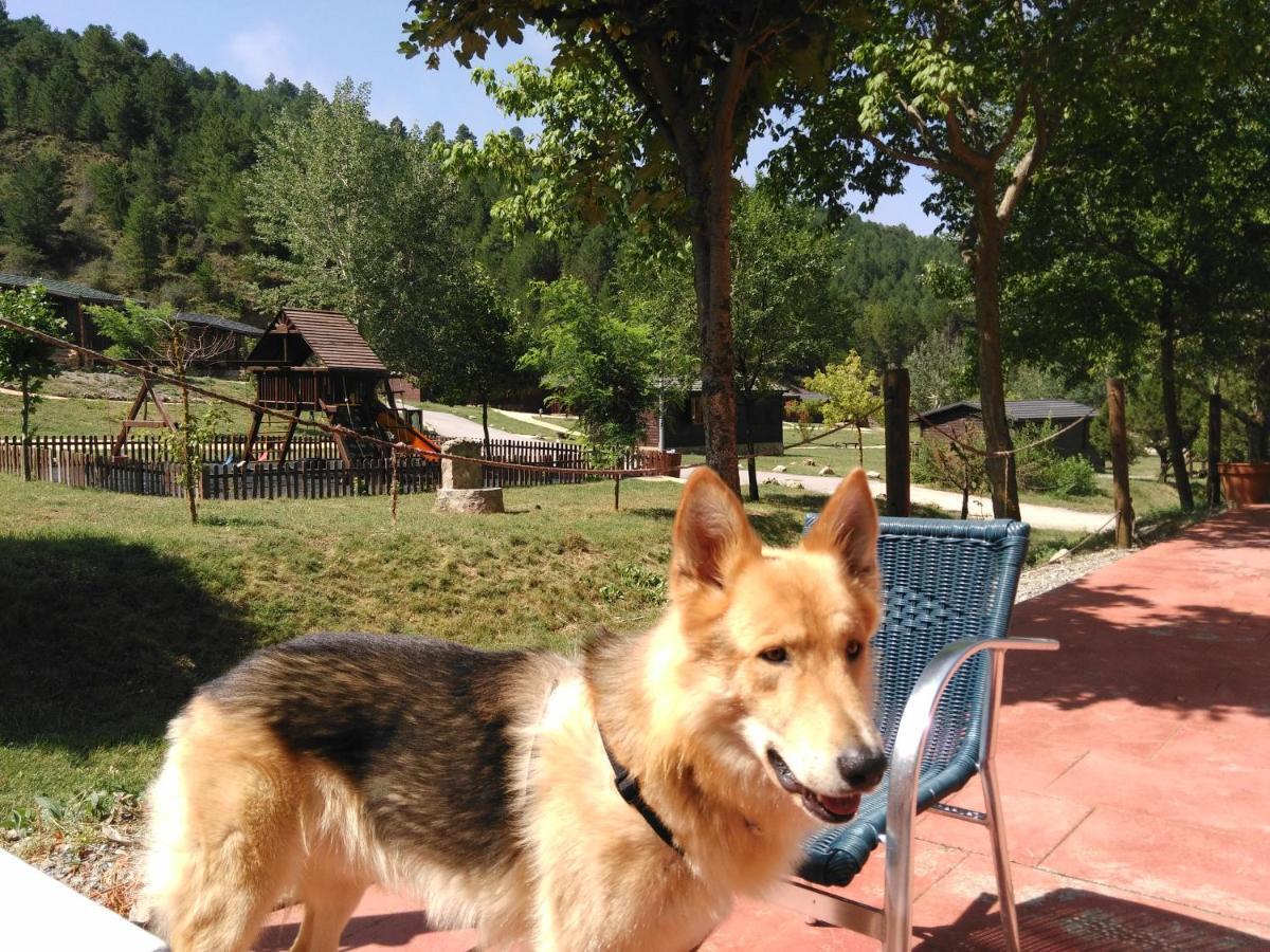 Cabanas De Javalambre Камарена де ла Сиера Екстериор снимка